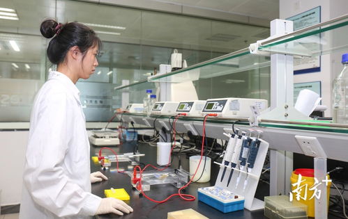 广东创新扶持计划 为医疗器械研发注入新动能